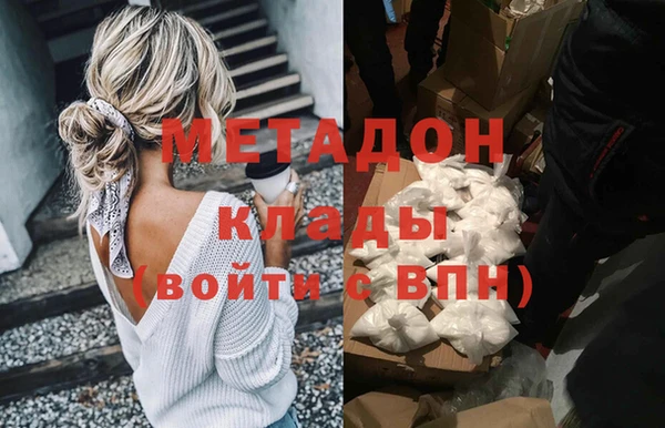 стаф Алзамай
