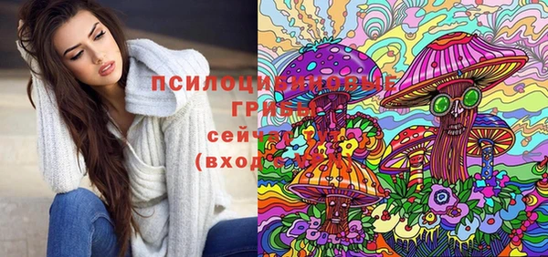 PSILOCYBIN Алексин