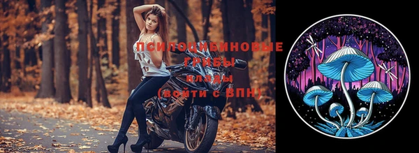 стаф Алзамай