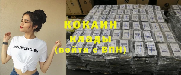 стаф Алзамай