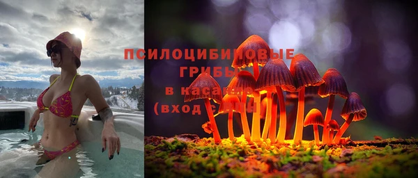 первитин Алексеевка